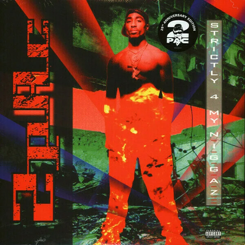 洋楽 IKE DOGG/UP 'N MILWAUKEE/G-RAP 2pac - Strictly 4 My N.I.G.G.A.Z. Fiyatı, Özellikleri | ZUHAL - 50