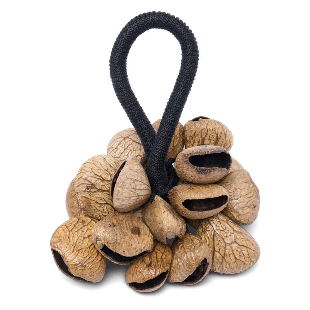 LATIN PERCUSSION LP0221 Pangi Nut Shaker Rattle